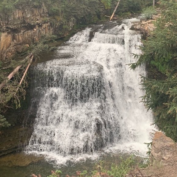 Meet your Posher, Emiley - Picture 1 of 1